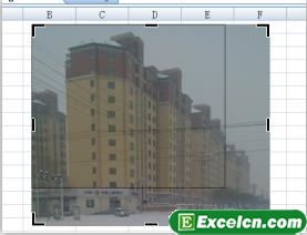Excel裁剪图片