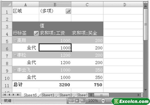 Excel2007数据透视表格式