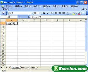 Excel2003輸入文本